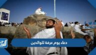 دعاء يوم عرفة للوالدين 2025 ادعية يوم عرفة لابي وامي مستجابة