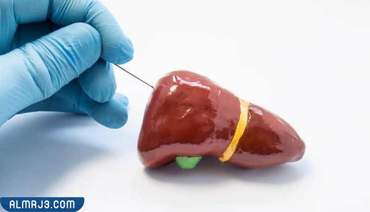 دلالات استخدام انزيمات الكبد