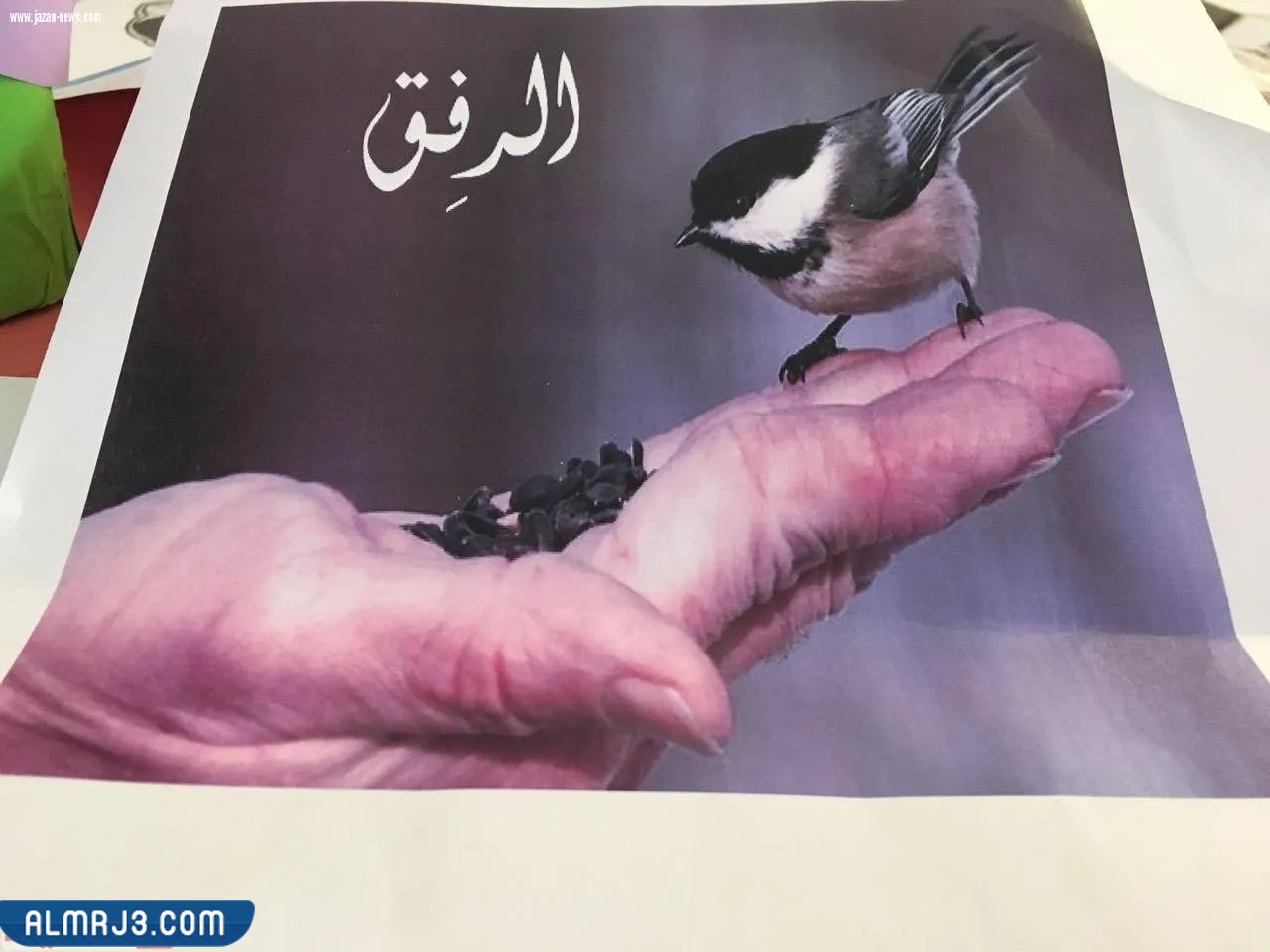 رموز الرفق بالحيوان