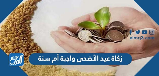 زكاة عيد الأضحى واجبة أم سنة