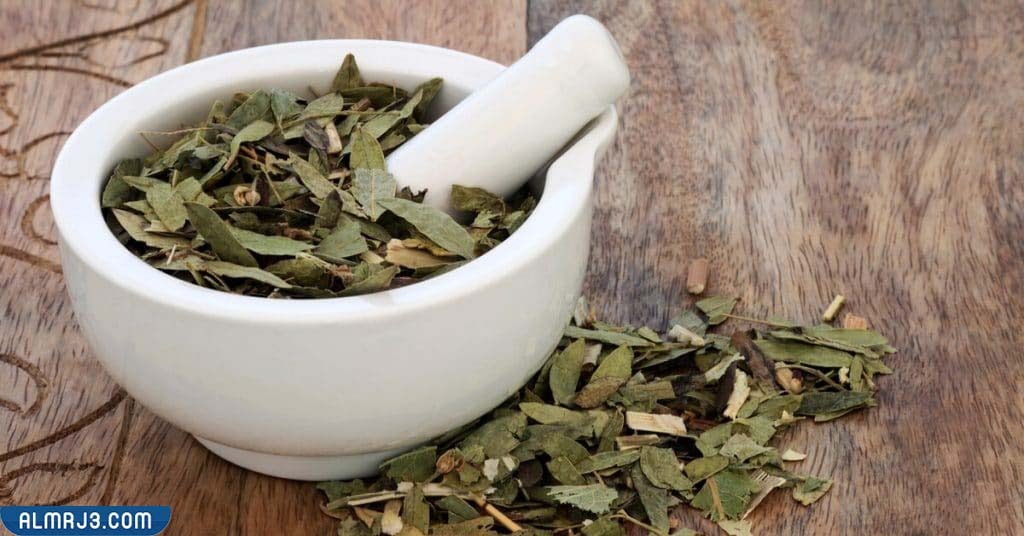 أضرار عشبة السنامكي