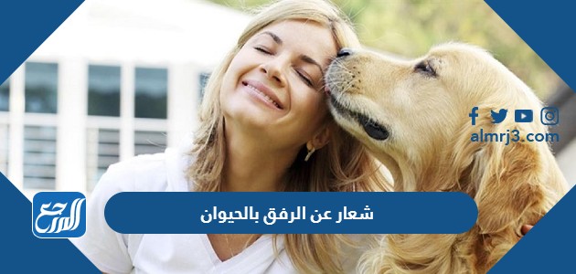 شعار عن الرفق بالحيوان