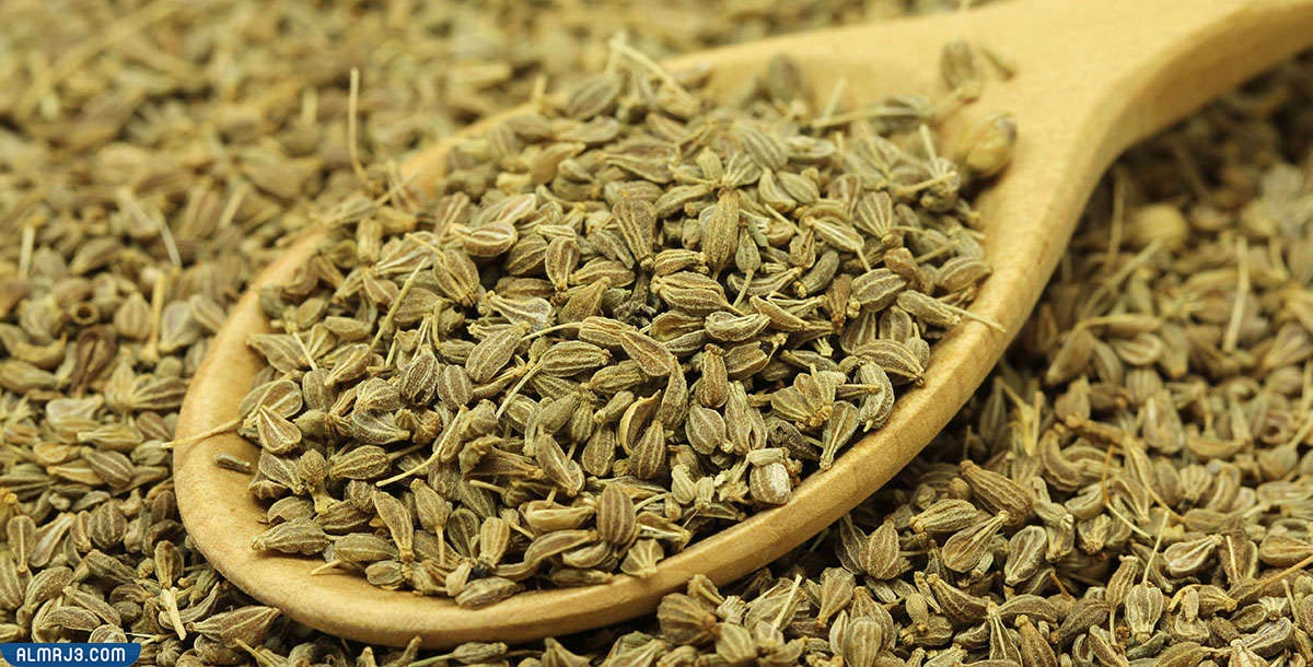 شكل اليانسون بالصور