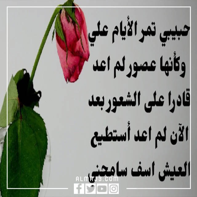 صور مسجات اعتذار للحبيب الزعلان