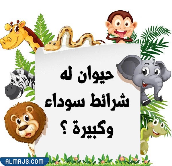 صور أسئلة للأطفال عن الحيوانات 2