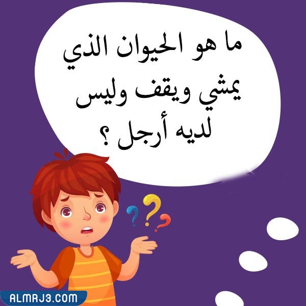 صور أسئلة للأطفال عن الحيوانات 3