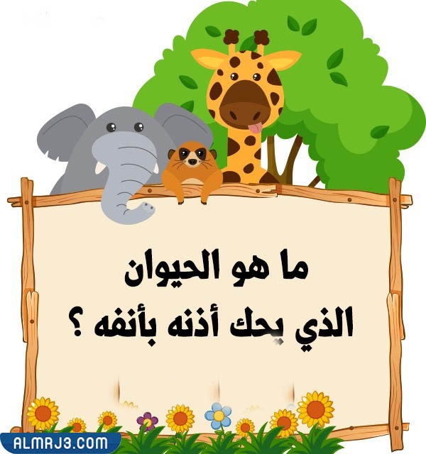 صور أسئلة للأطفال عن الحيوانات 5