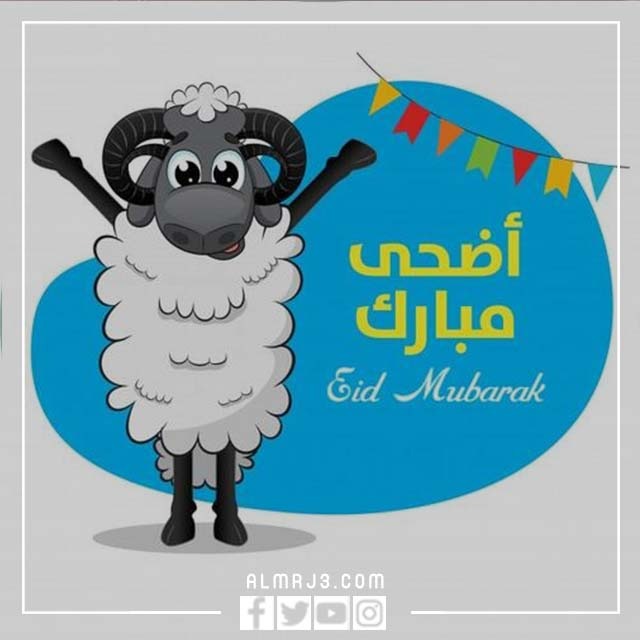 صور اضحى مبارك خروف العيد كرتون