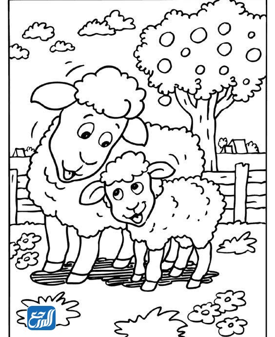 صور خروف العيد كرتون 2022