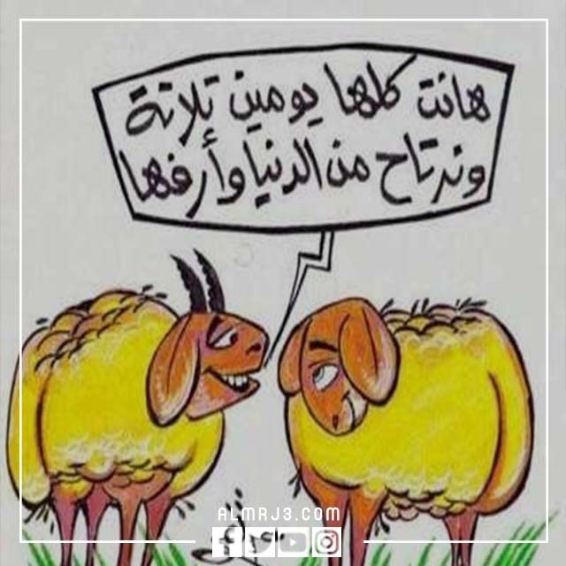صور خروف العيد كرتون مضحكة