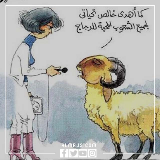 صور خروف العيد كرتون مضحكة