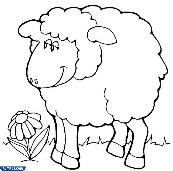 صور خروف العيد للتلوين