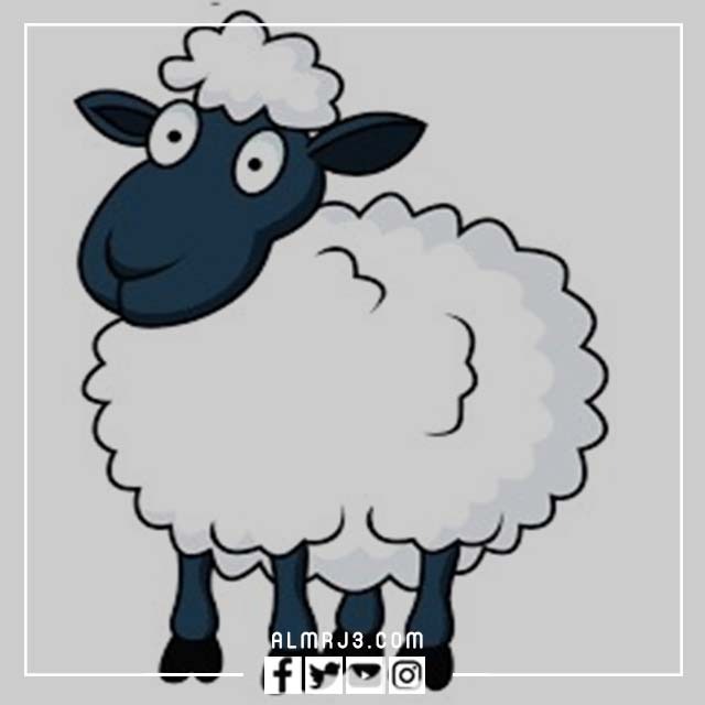 صور خروف عيد الأضحى كرتون 2022
