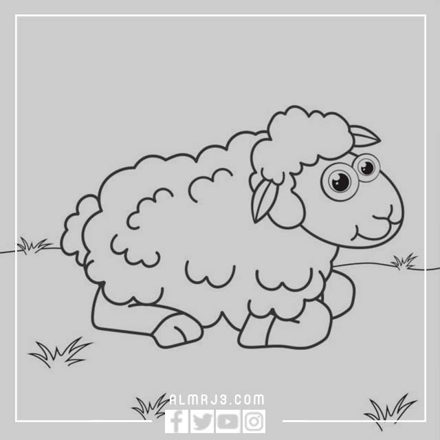 صور خَروف العِيد كَرتون للتلوين