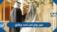 صور زواج امل احمد وطارق