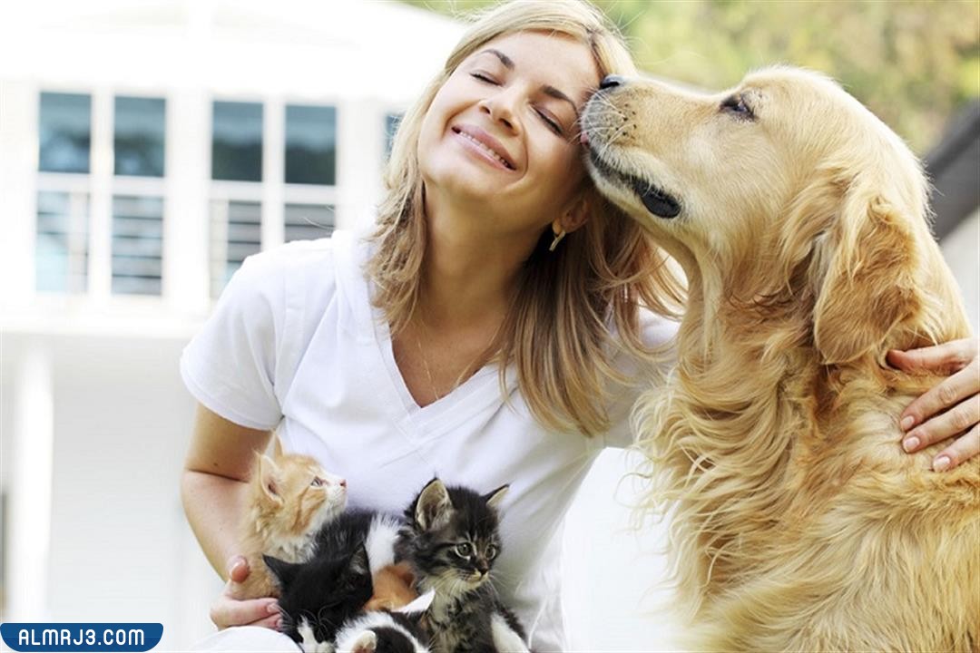 صور عن الرفق بالحيوان