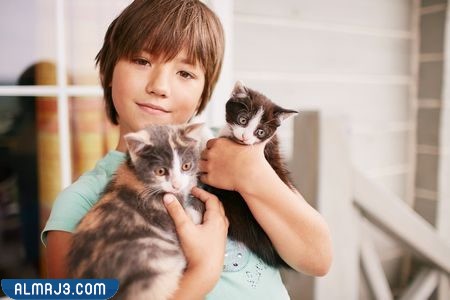 صور عن الرفق بالحيوان للأطفال