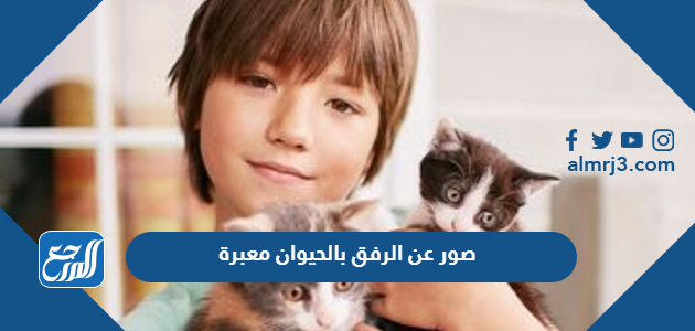 صور عن الرفق بالحيوان معبرة