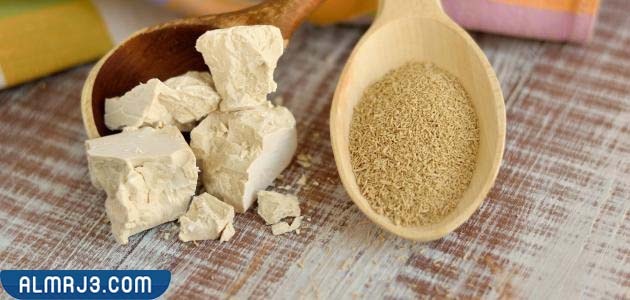 طرق استخدام الخميرة للتخلص من الذباب 