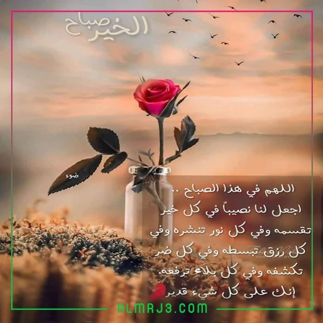 كلام عن صباح الخير تويتر بالصور