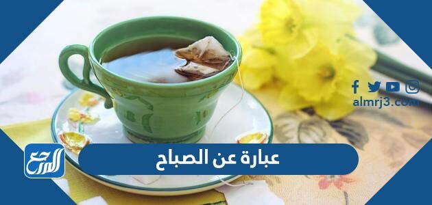 عبارة عن الصباح 2026 أجمل كلمات عن الصباح قصيرة