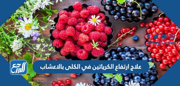 علاج ارتفاع الكرياتين في الكلى بالاعشاب