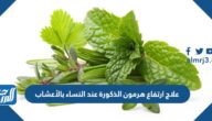 علاج ارتفاع هرمون الذكورة عند النساء بالأعشاب