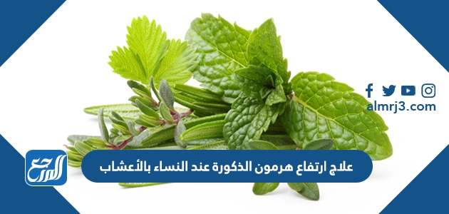 علاج ارتفاع هرمون الذكورة عند النساء بالأعشاب