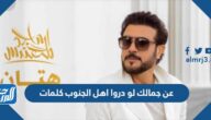 عن جمالك لو دروا اهل الجنوب كلمات