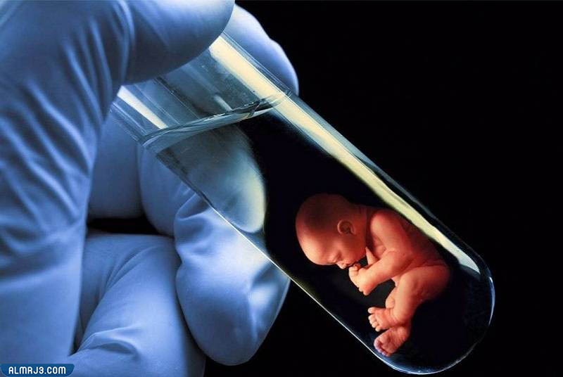 عوامل نجاح عملية أطفال الأنابيب من أول مرة