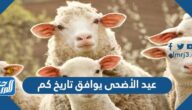عيد الأضحى يوافق تاريخ كم 2022 – 1443