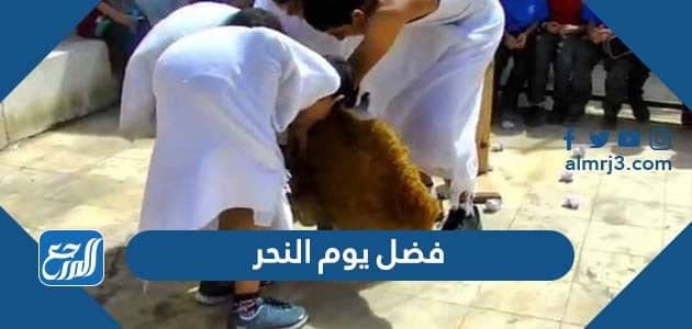 فضل يوم النحر