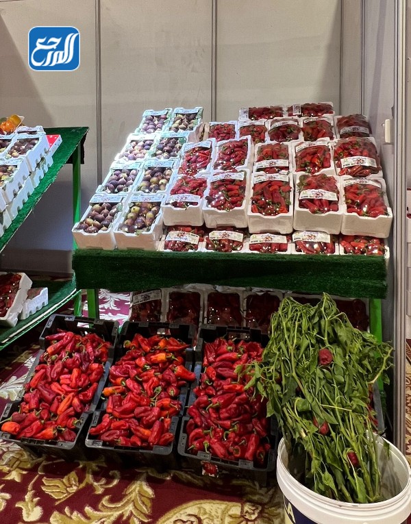 فعاليات مهرجان فلفل شقراء الثاني 2022  بالصور