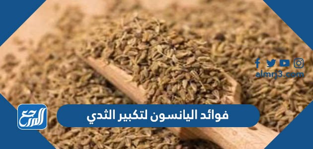 فوائد اليانسون لتكبير الثدي