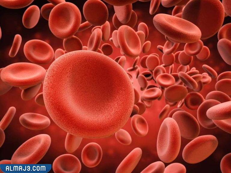 أعراض التهاب الدم