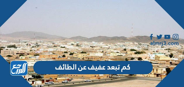 كم تبعد عفيف عن الطائف