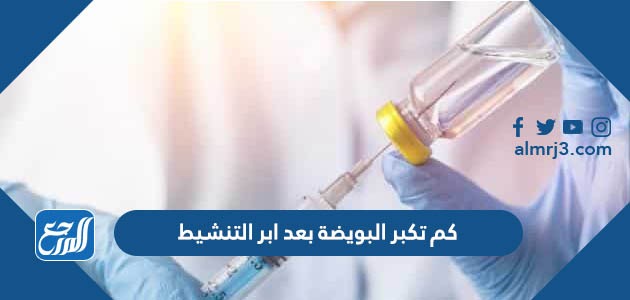 كم تكبر البويضة بعد ابر التنشيط