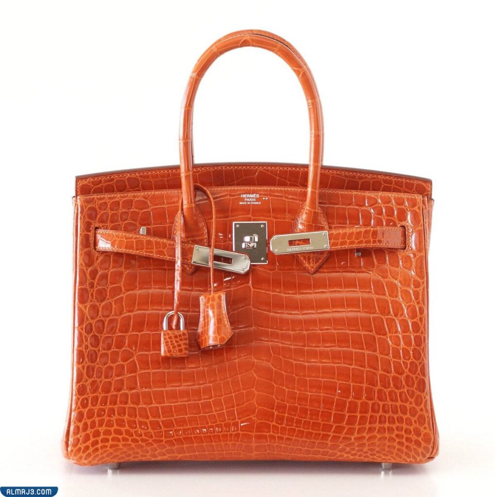 كم سعر شنطة نهى نبيل المسروقه وهل تم استرجاعها