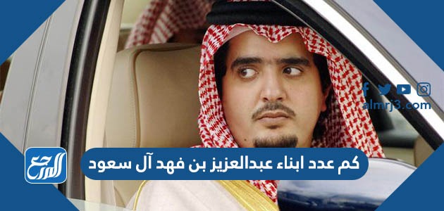 كم عدد ابناء عبدالعزيز بن فهد آل سعود