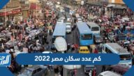 كم عدد سكان مصر 2022