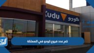 كم عدد فروع كودو في المملكة