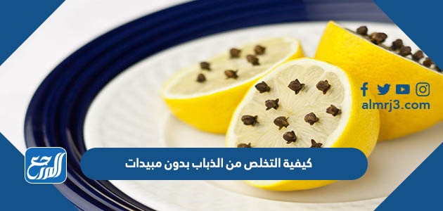 كيفية التخلص من الذباب بدون مبيدات