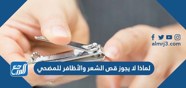 لماذا لا يجوز قص الشعر والأظافر للمضحي