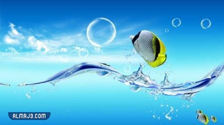 ما هو الحيوان الوحيد الذي لم يختر نوح عليه السلام زوجين منه