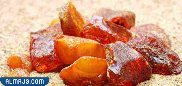 ما هو العنبر 