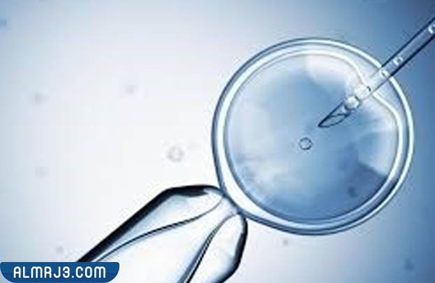 ما هي علامات فشل التلقيح الصناعي؟