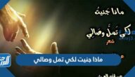 ماذا جنيت لكي تمل وصالي إني سألتك هل تجيب سؤالي كلمات