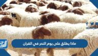 ماذا يطلق على يوم النحر في القران