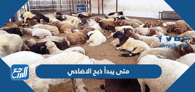 متى يبدأ ذبح الاضاحي