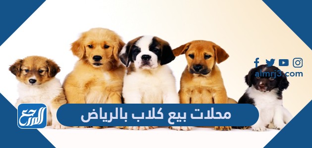 محلات بيع كلاب بالرياض